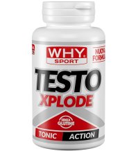 WHYSPORT TESTO XPLODE 90CPR NF