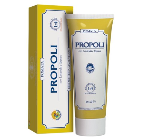 POMATA PROPOLI 100ML