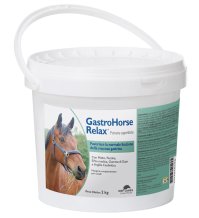 GASTRO HORSE RELAX POLV APP 2