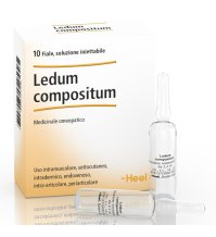 LEDUM COMP 10FL HEEL