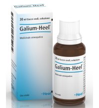 GALIUM GTT 30ML HEEL