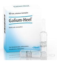 GALIUM 10FL HEEL