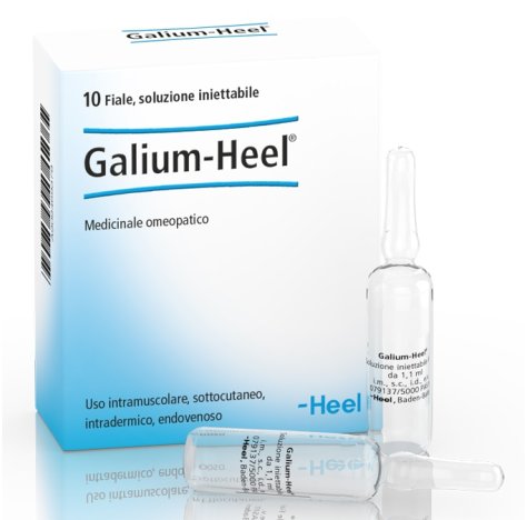 GALIUM 10FL HEEL