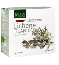 LICHENE ISLANDICO 15AMPX15ML