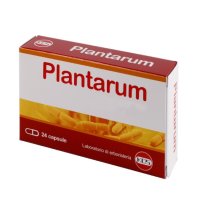 PLANTARUM 10MLD 24CPS