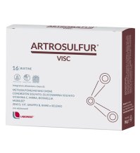 ARTROSULFUR VISC 16BUST