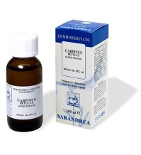 CARPINUS BETULUS 100ML MG