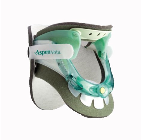 FGP Coll.Cerv.Biv.Vista