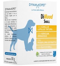 DIMOOD SMALL 20BUST