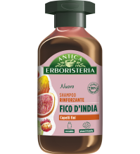 Antica Erbor Shampoo Fico250ml