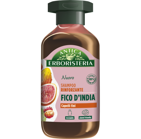 Antica Erbor Shampoo Fico250ml