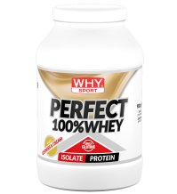 WHYSPORT PERFECT WHEY COOKIES