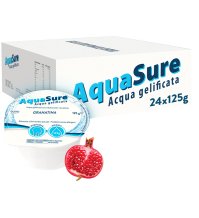 AQUASURE ACQUA GE/ED GRANAT24P