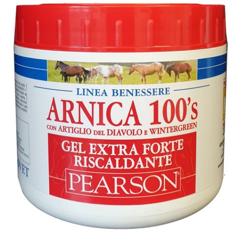 ARNICA 100'S GEL EX FT RISC500