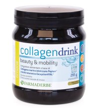 COLLAGEN DRINK LIMONE 295G FDR