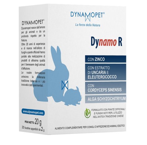 DYNAMO R 20BUST 2G