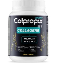 COLPROPUR SPORT LIMONE 345G