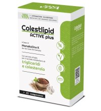 PALADIN PHARMA Sanavita colestlipid plus 45 compresse