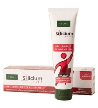 SILICIUM FLEX ARNICA 100ML