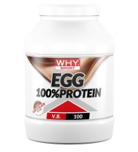WHYSPORT EGG 100% PROTEIN CIOC