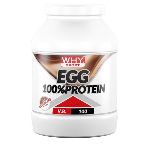 WHYSPORT EGG 100% PROTEIN CIOC