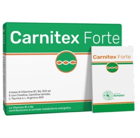 CARNITEX FORTE 14BUST