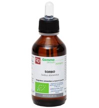 SORBO MG BIO 100ML