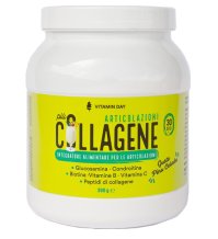 VITAMIN DAY Collagene Articol.