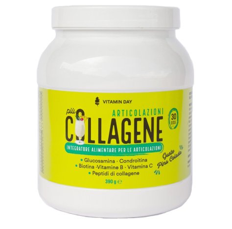 VITAMIN DAY Collagene Articol.