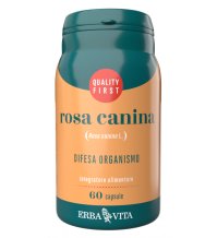 ROSA CANINA 60CPS EBV