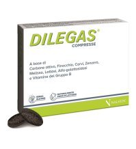 DILEGAS COMPRESSE 30CPR