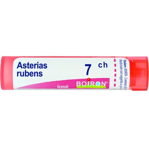 ASTERIAS RUBENS 7CH GR BO<