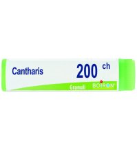 CANTHARIS 200CH GL *BO*