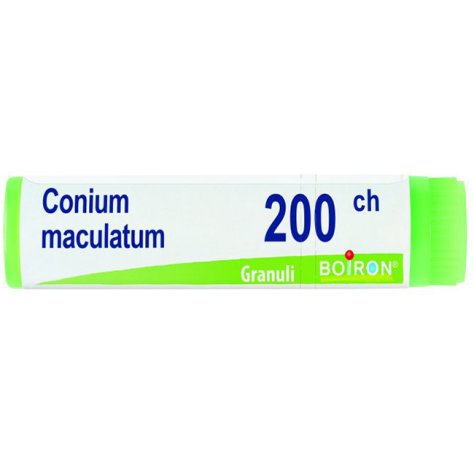 CONIUM MACULATUM 200CH GL BO