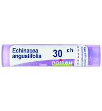 ECHINACEA ANGUSTIFOL 30CH GR BO