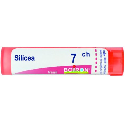 SILICEA 7CH GR BO