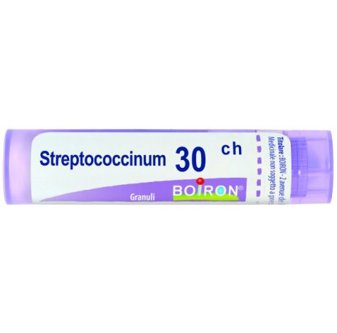 STREPTOCOCCINUM 30CH GR BO