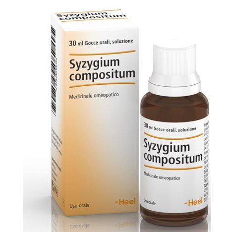 SYZYGIUM COMP GTT 30ML HEEL