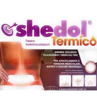 SHEDOL TERMICO CER 6PZ