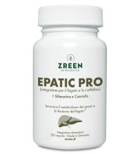 ZREEN EPATIC PRO 120CPS