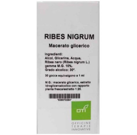 RIBES NIGRUM MG10% GOCCE 100ML