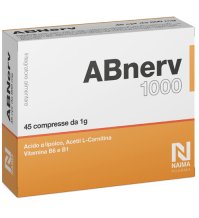 ABNERV 1000 45CPR