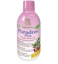 PURADREN PLUS MIRT FRU RO500ML