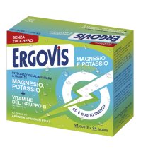 ERGOVIS MG+K VIT B S/ZUC24BUST