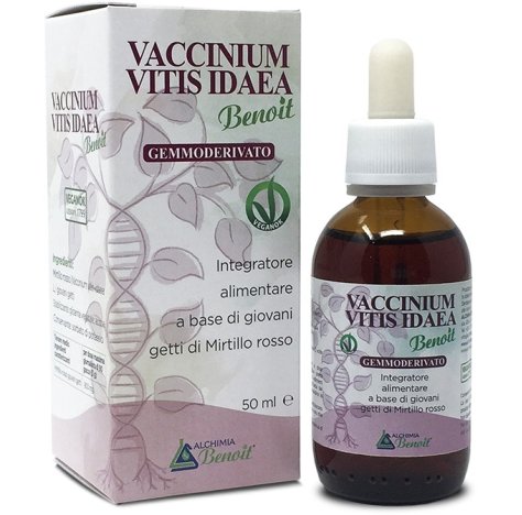 VACCINIUM VITIS IDAEA GEMM50ML