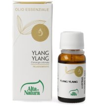 YLANG YLANG OLIO ESS 10ML