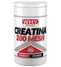 WHYSPORT CREATINA 200 MESH500G