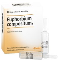 EUPHORBIUM COMP 10FL  HEEL