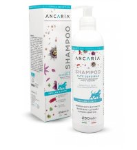 ANCARIA Shampoo 250ml