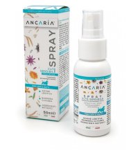 ANCARIA Loz.Spray 50ml